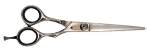 Professional titanium scissors (17 cm)