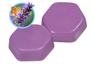 Wax Tablets (Violet)